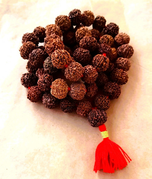 Image of 7 Mukhi Nepali Rudraksh Mala (54+1) Beads 19-20MM Approx