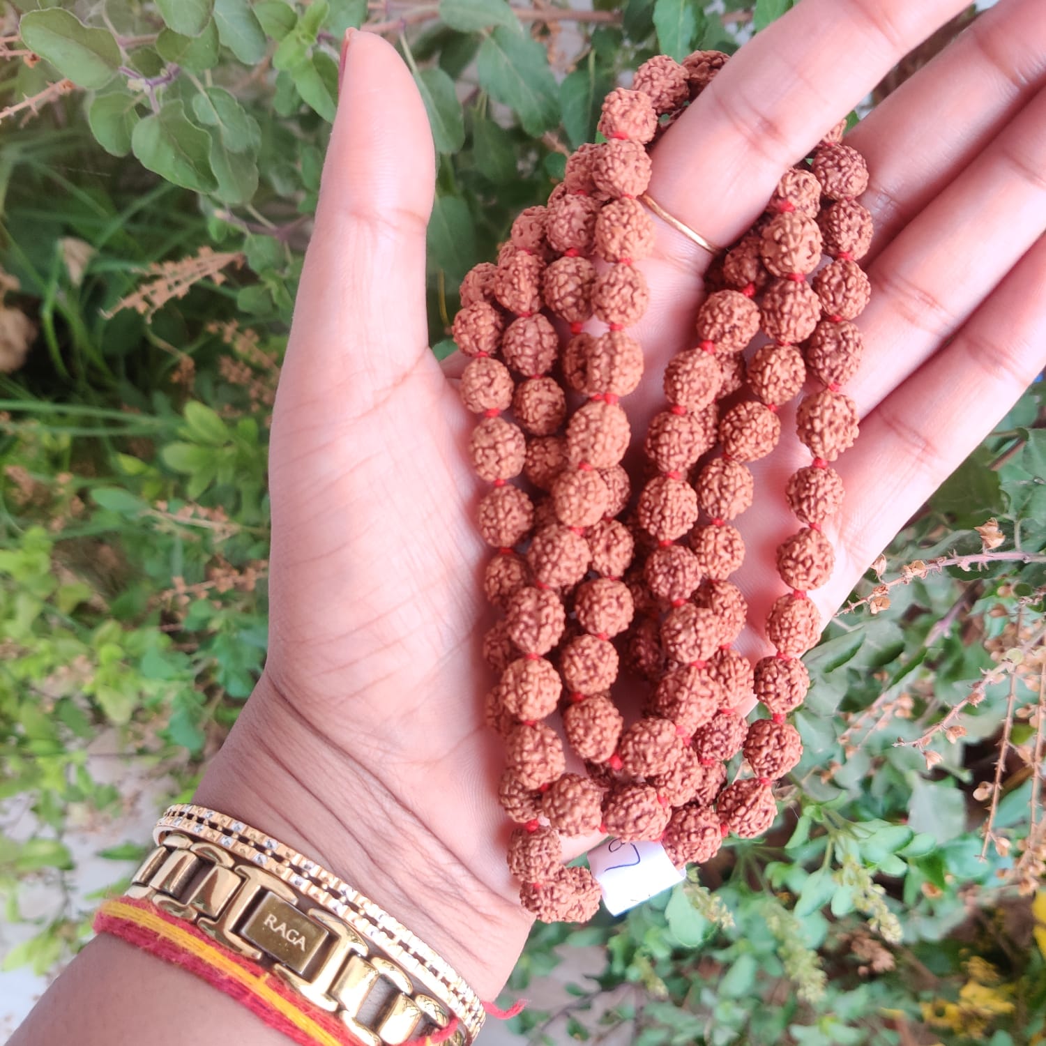 5 Mukhi Rudraksh Mala 9 MM - 1081 Beads