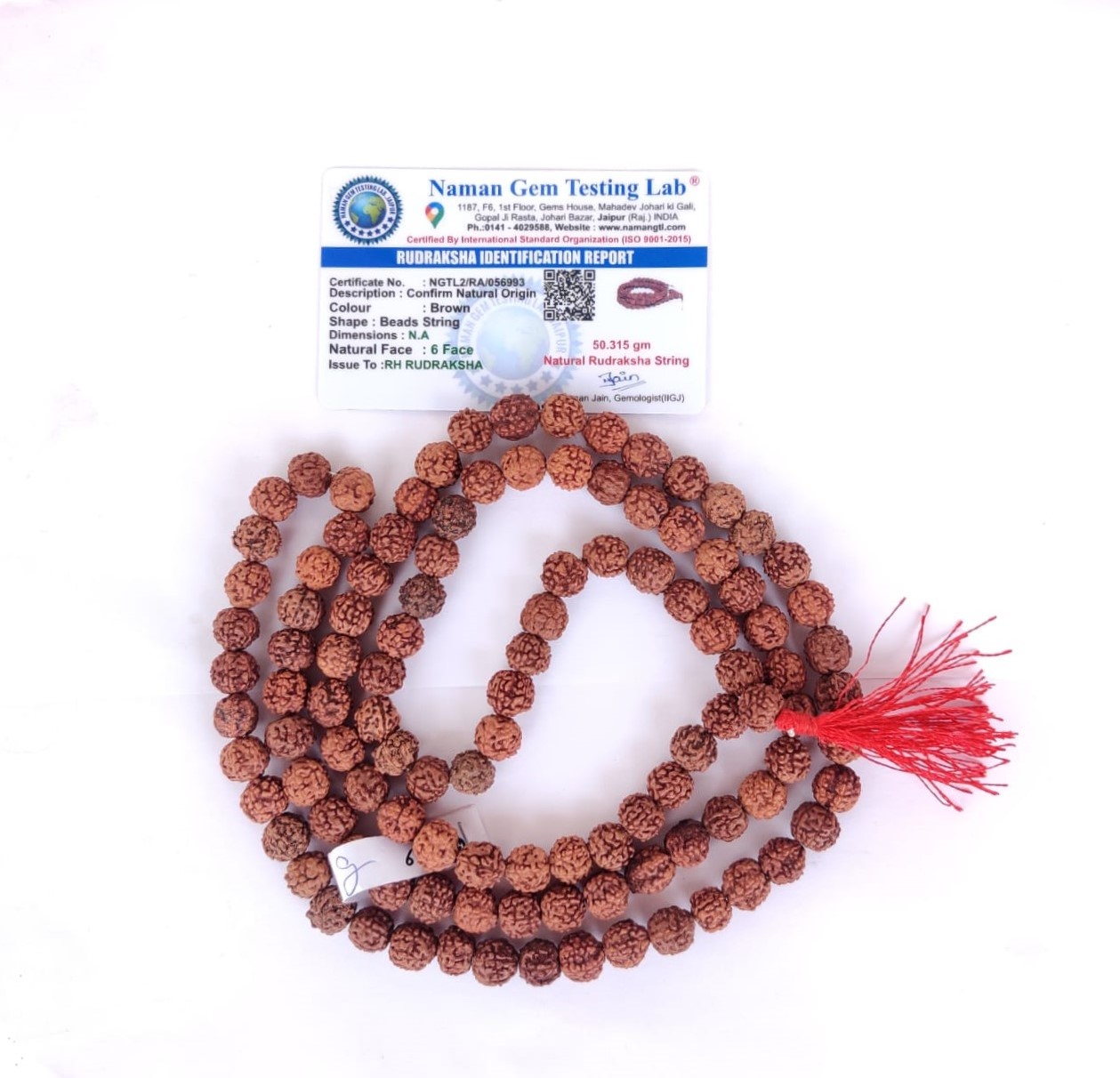 6 Mukhi Rudraksh Mala 10MM