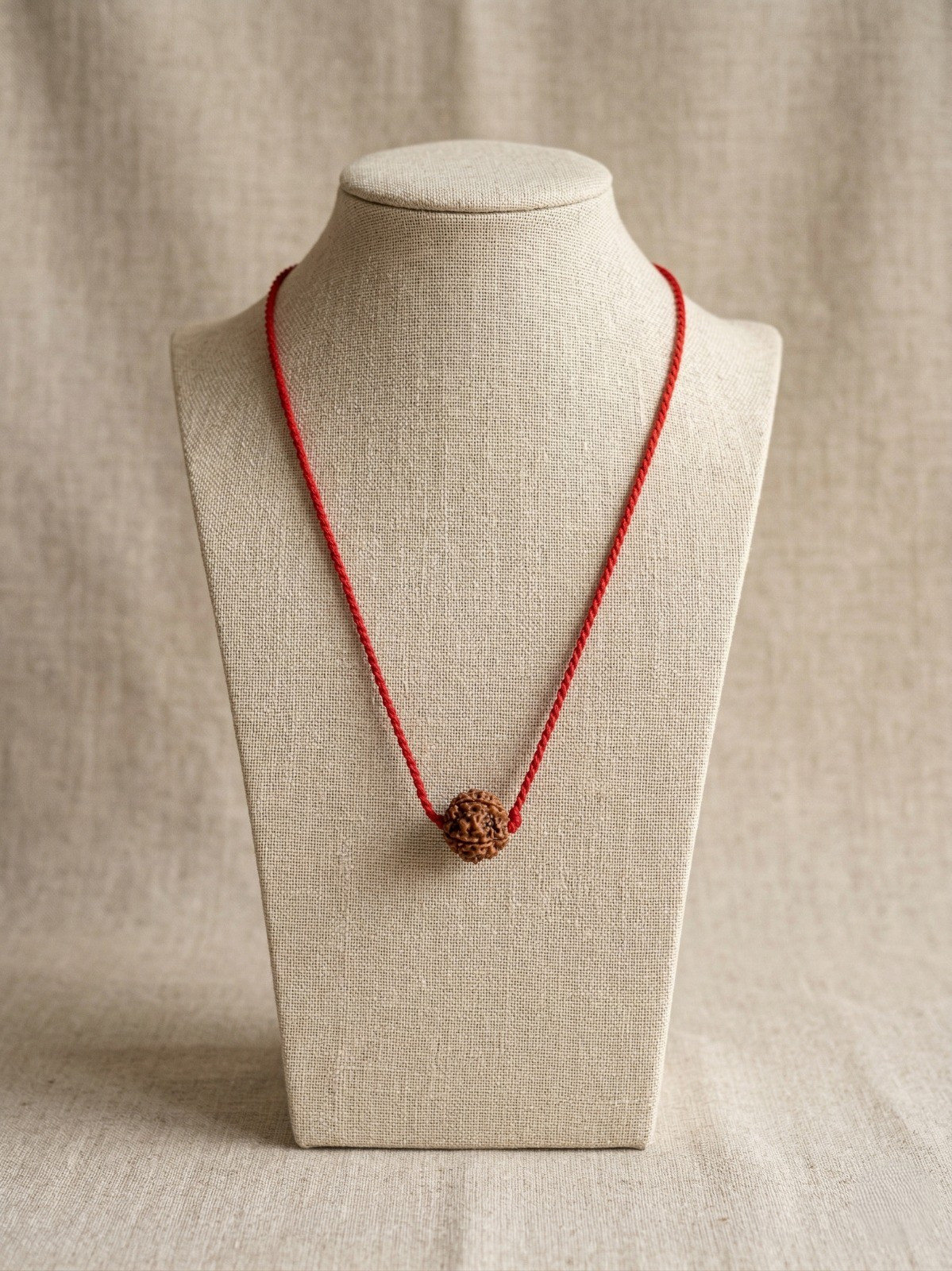 Natural 5 Mukhi Rudraksh Nepali