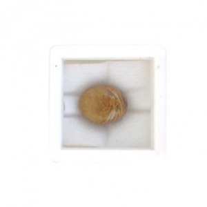 Image of Maryam Stone - 6.26 Carat