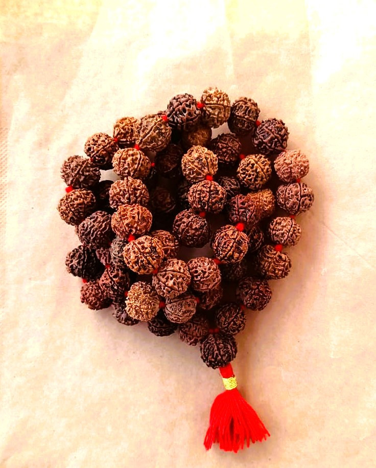 7 Mukhi Nepali Rudraksh Mala 541 Beads 19-20MM Approx