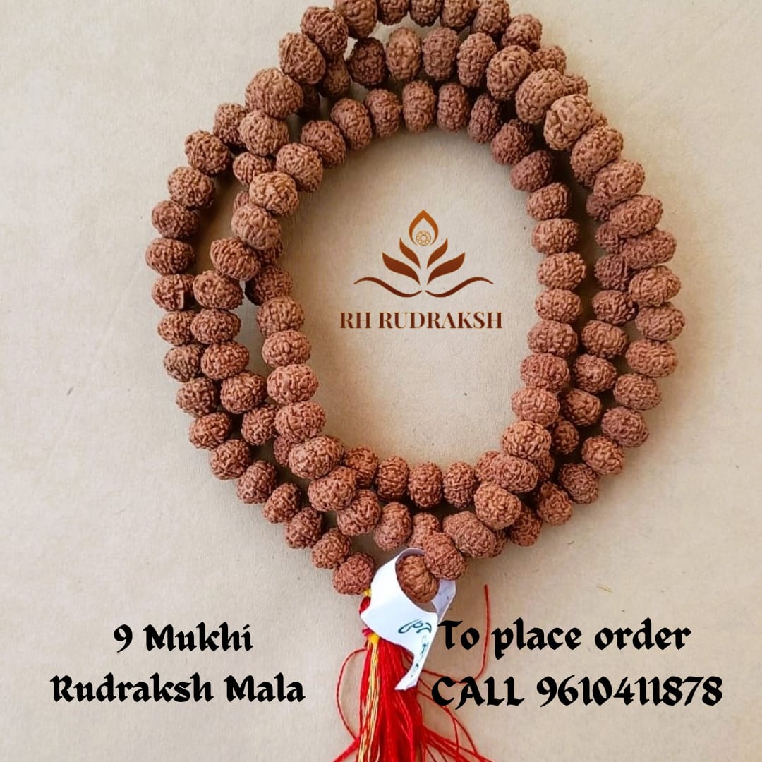 9 Mukhi Rudraksh Mala 10MM