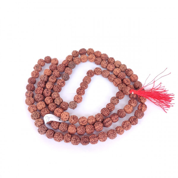 Image of 6  Mukhi Rudraksh Mala 10MM