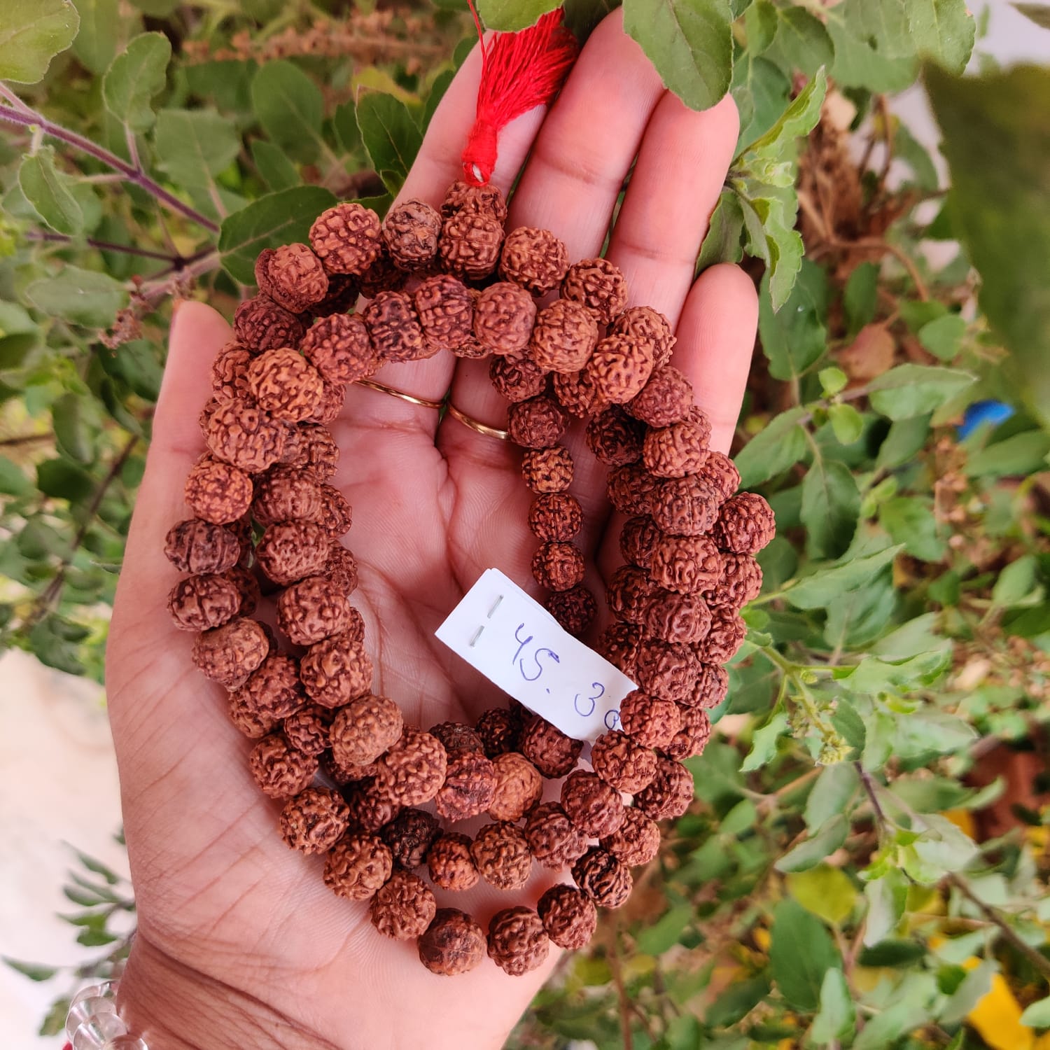 7 Mukhi Rudraksh Mala 10MM