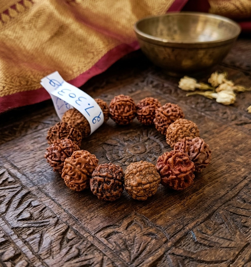 7 Mukhi Nepali Rudraksh Bracelet 145MM-15MM