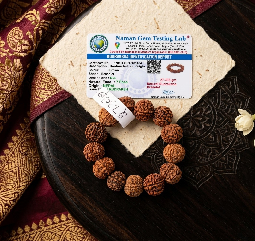 7 Mukhi Nepali Rudraksh Bracelet 145MM-15MM