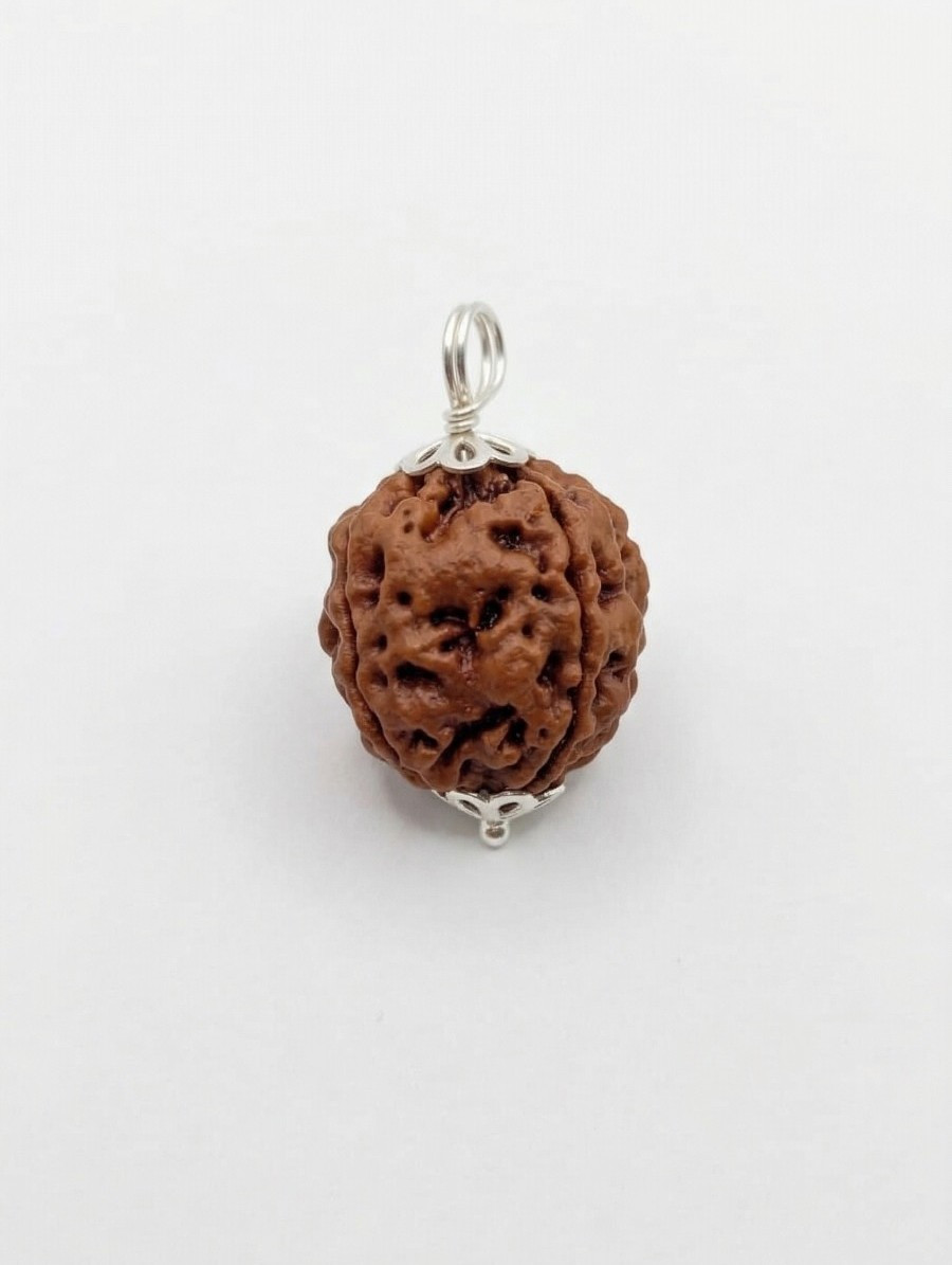 Natural 4 Mukhi Collector RudrakshNepali