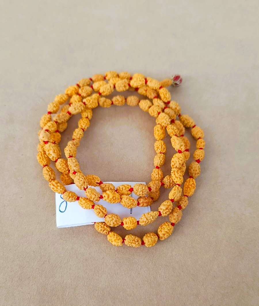 2 Mukhi Rudraksh Mala 8MM