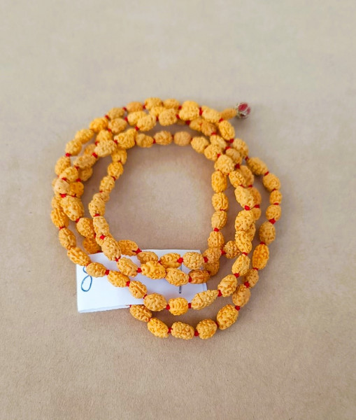 Image of 2 Mukhi Rudraksh Mala 8MM