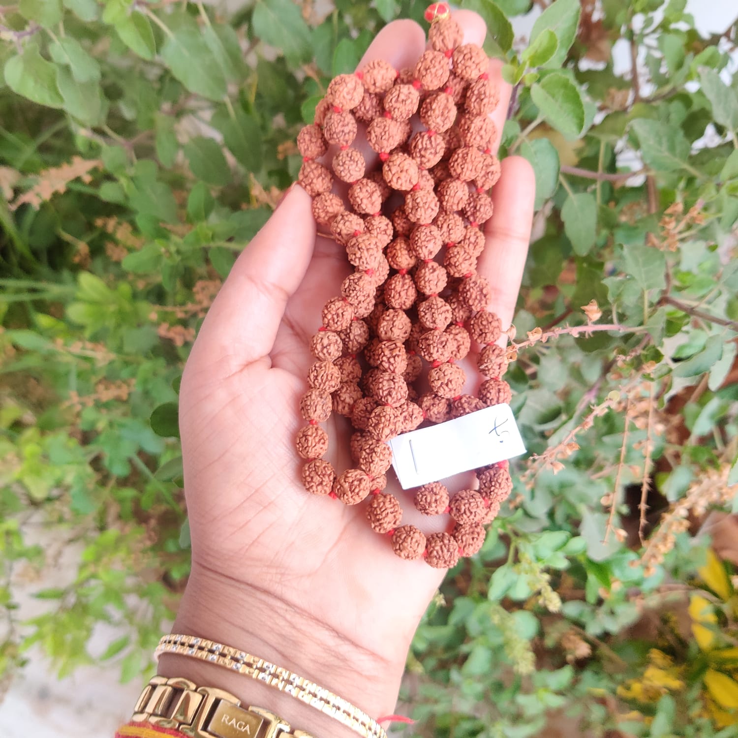 5 Mukhi Rudraksh Mala 9 MM - 1081 Beads