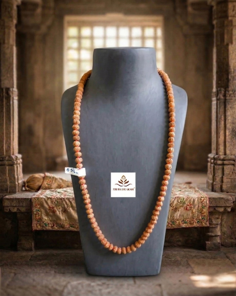 Image of 8 Mukhi Rudraksh Mala (8 MM - 108+1 Beads)