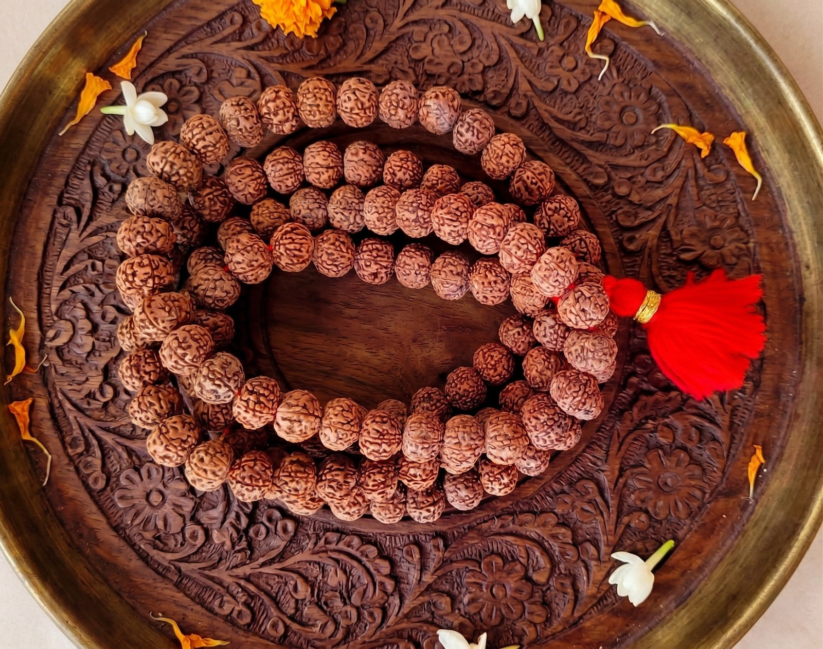 8 Mukhi Rudraksh Mala 12MM - 1081 Beads