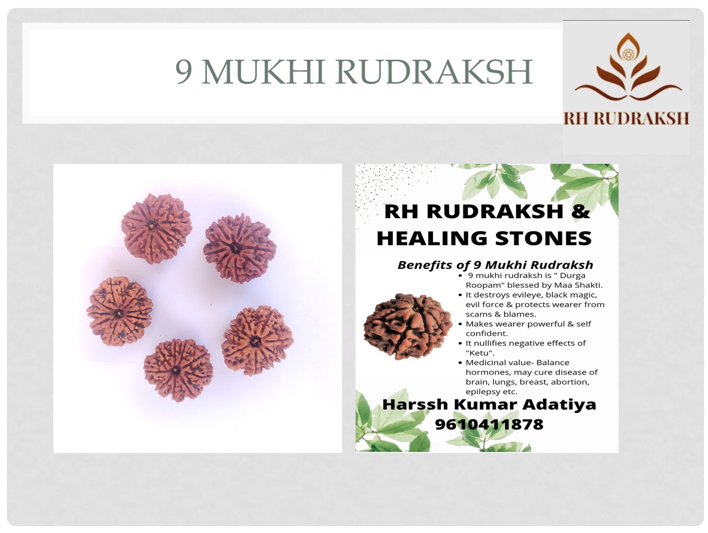 Natural 9 Mukhi Collector Rudraksh Nepali