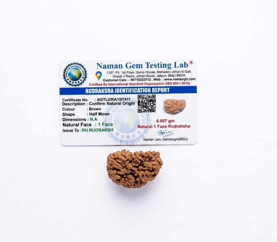 Natural 1 Mukhi Collector Rudraksh