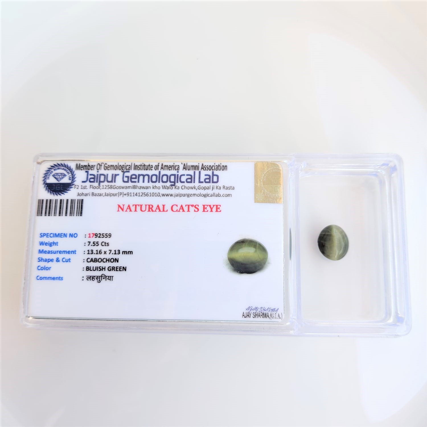 Natural Cats Eye 755 Cts