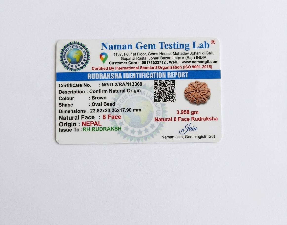 Natural 8 Mukhi Rudraksh Nepali