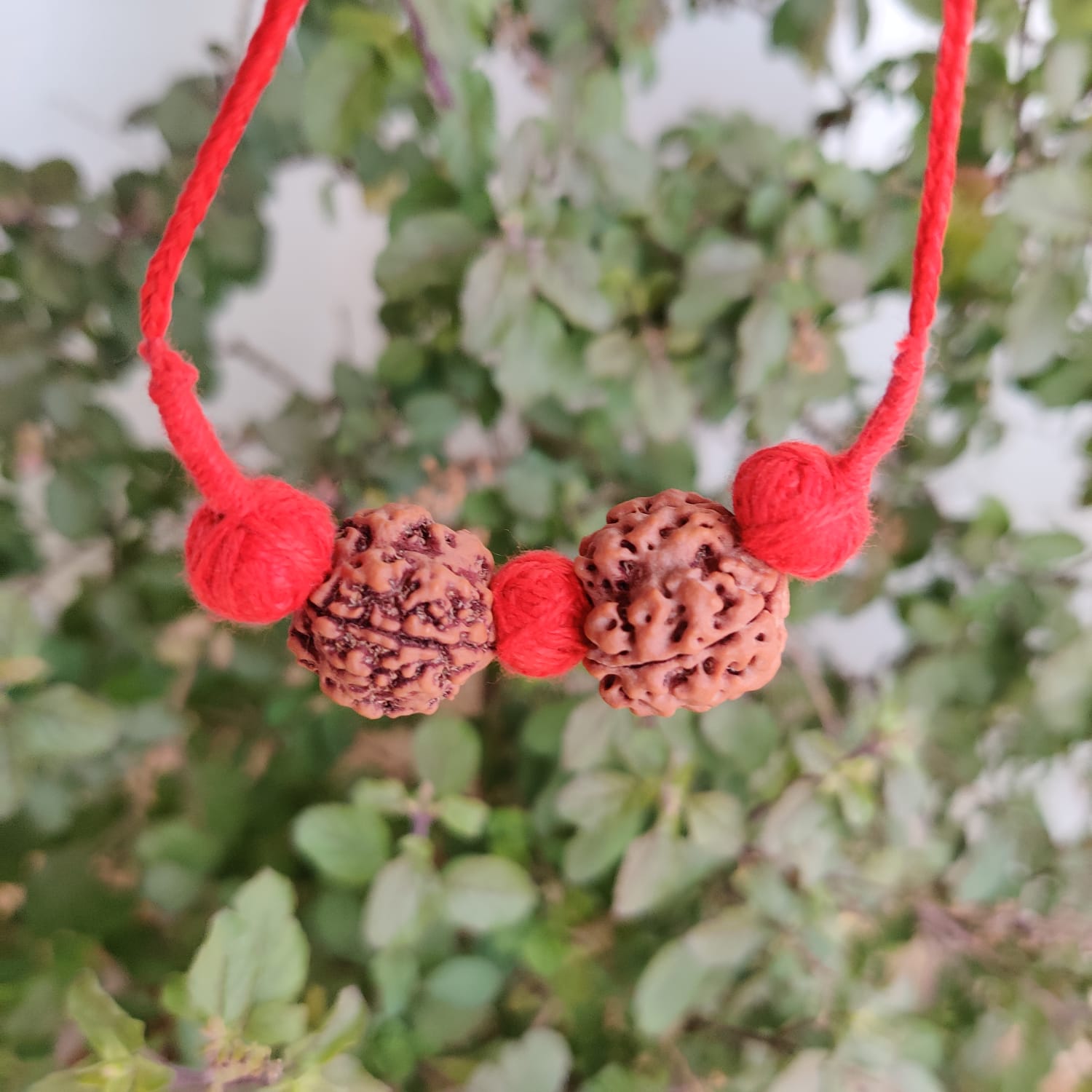 Combination of 3 mukhi 4 Mukhi