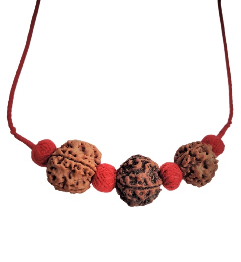 Combination of 4 mukhi 5 Mukhi 6 Mukhi