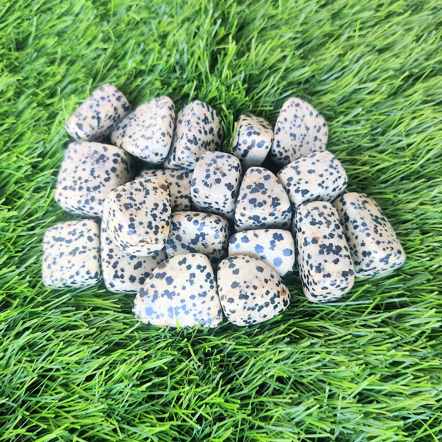 Dalmatian Stone Tumbles Pack of 100 Grams
