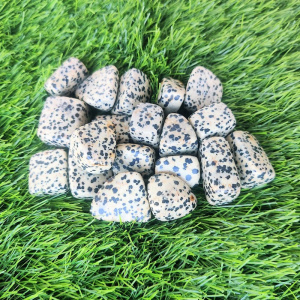 Image of Dalmatian Stone Tumbles (Pack of 100 Grams)