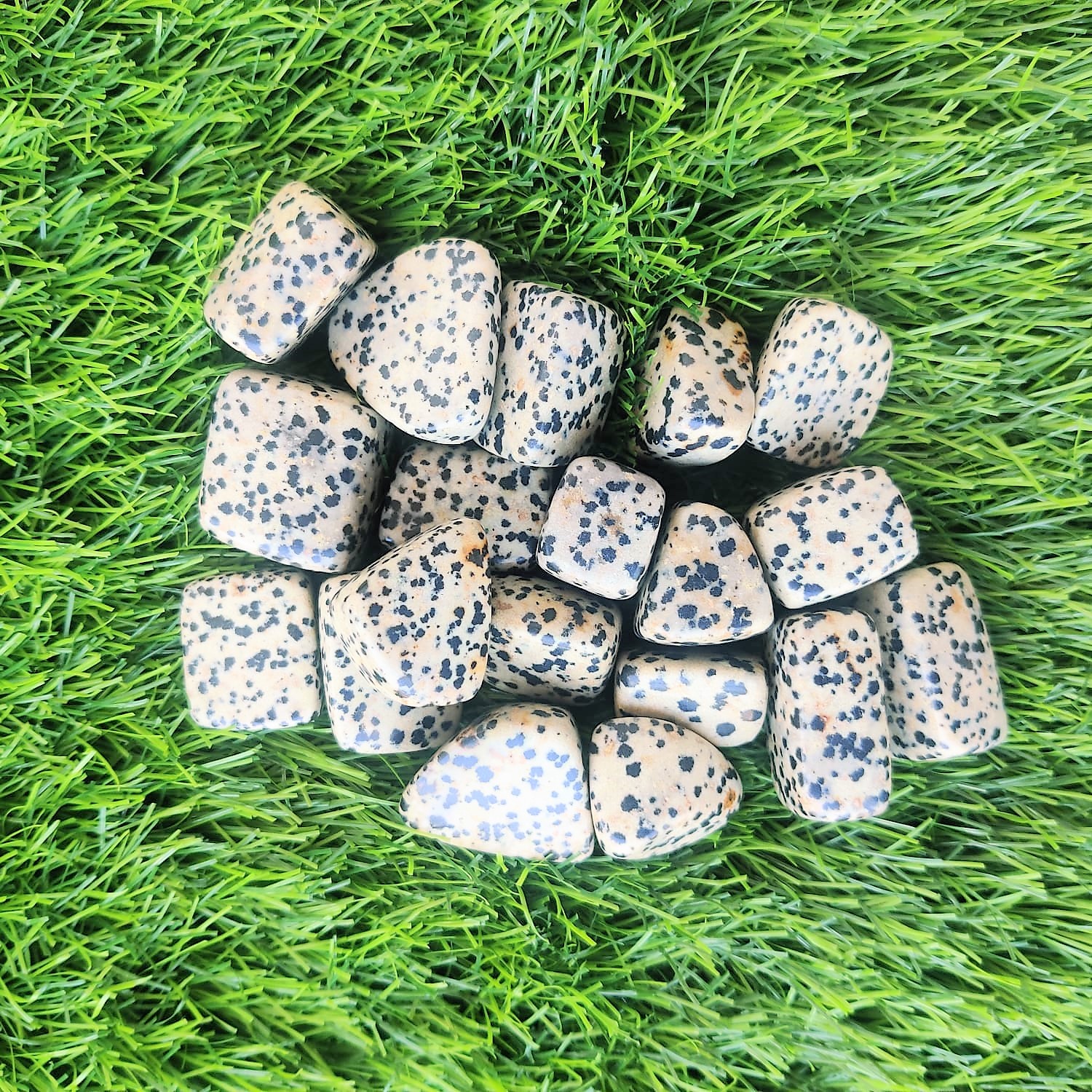 Dalmatian Stone Tumbles Pack of 100 Grams