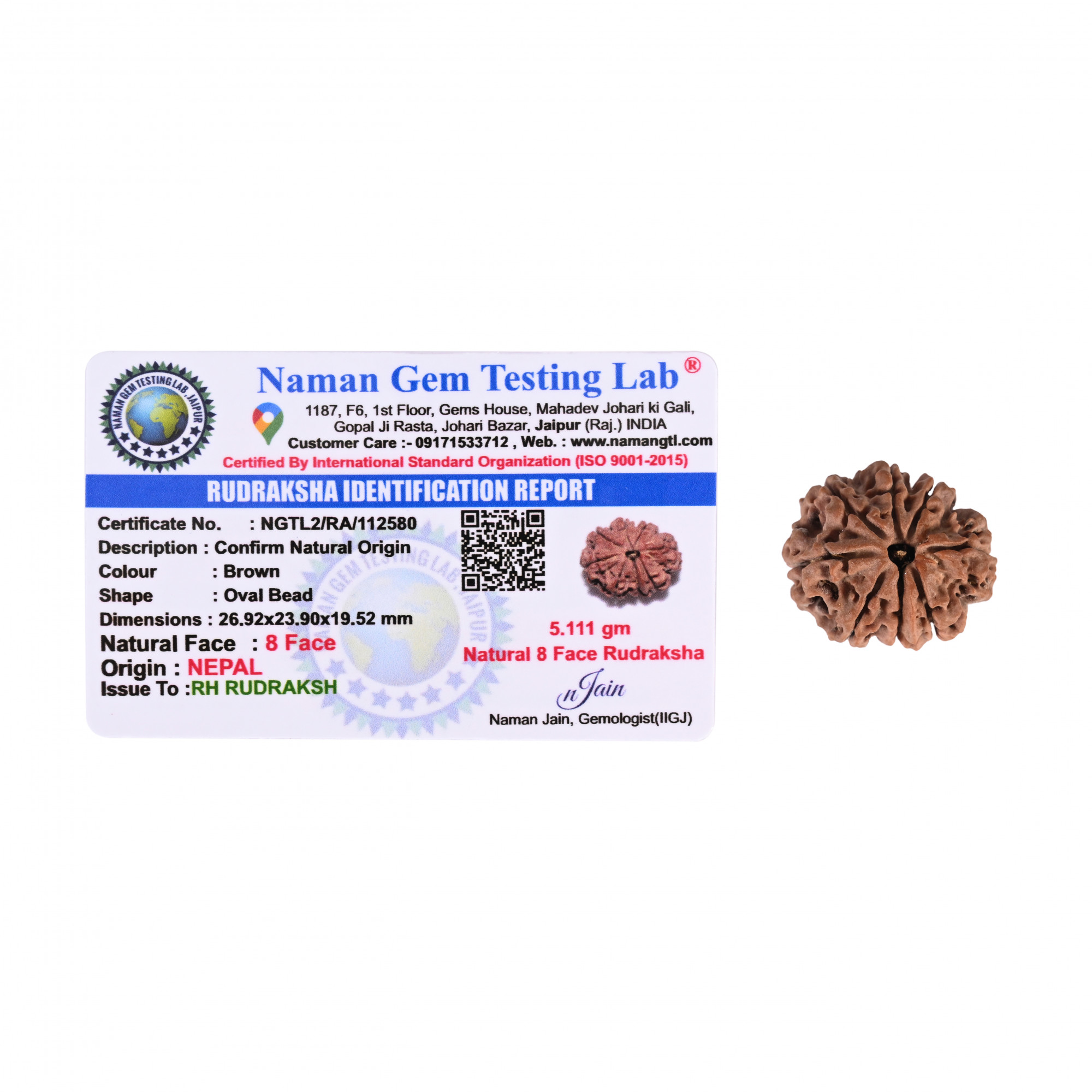 Natural 8 Mukhi Collector Rudraksh Nepali