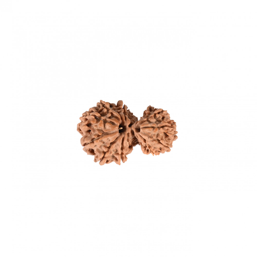 Image of Natural Garbh Gauri (Nepali)
