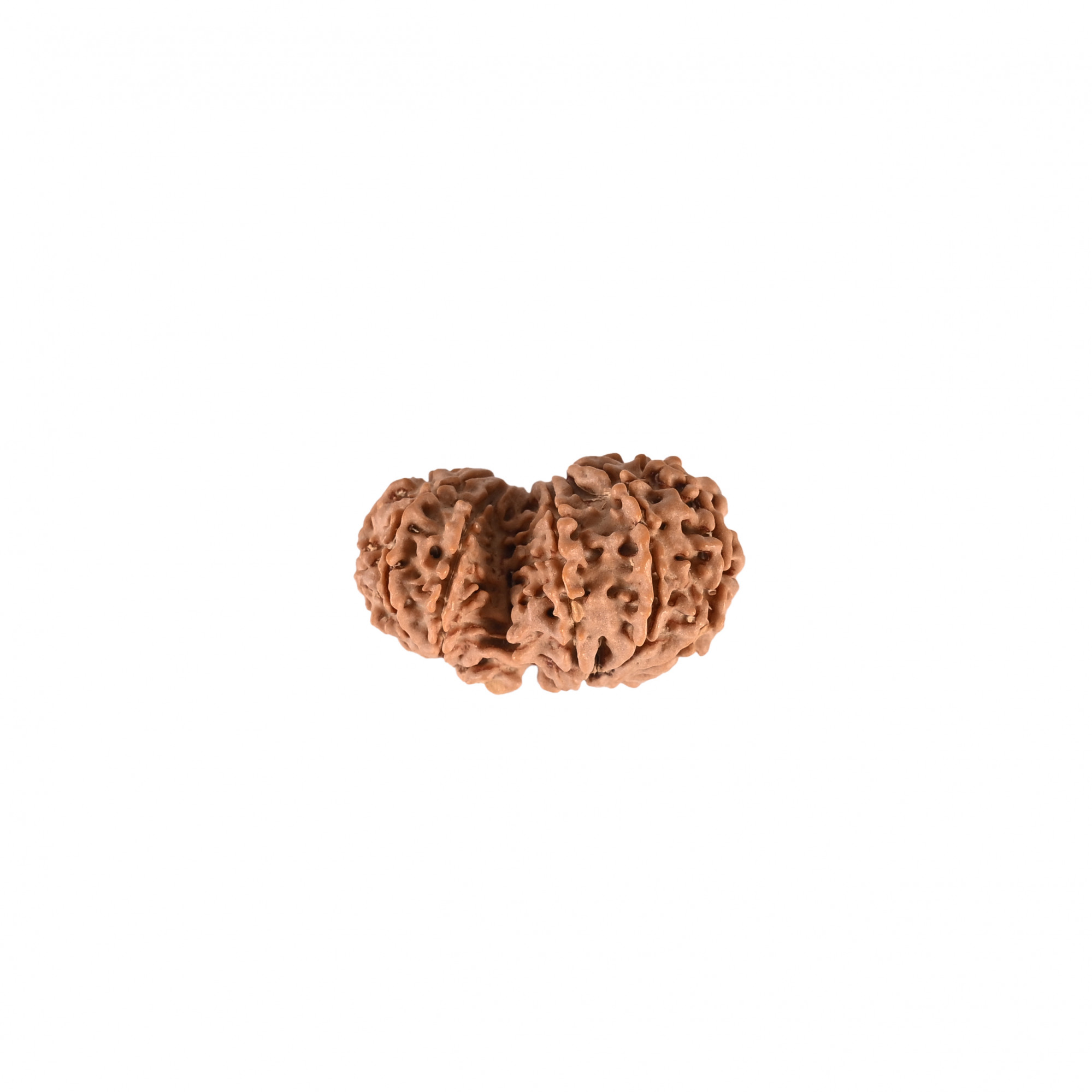 Natural Garbh Gauri Nepali