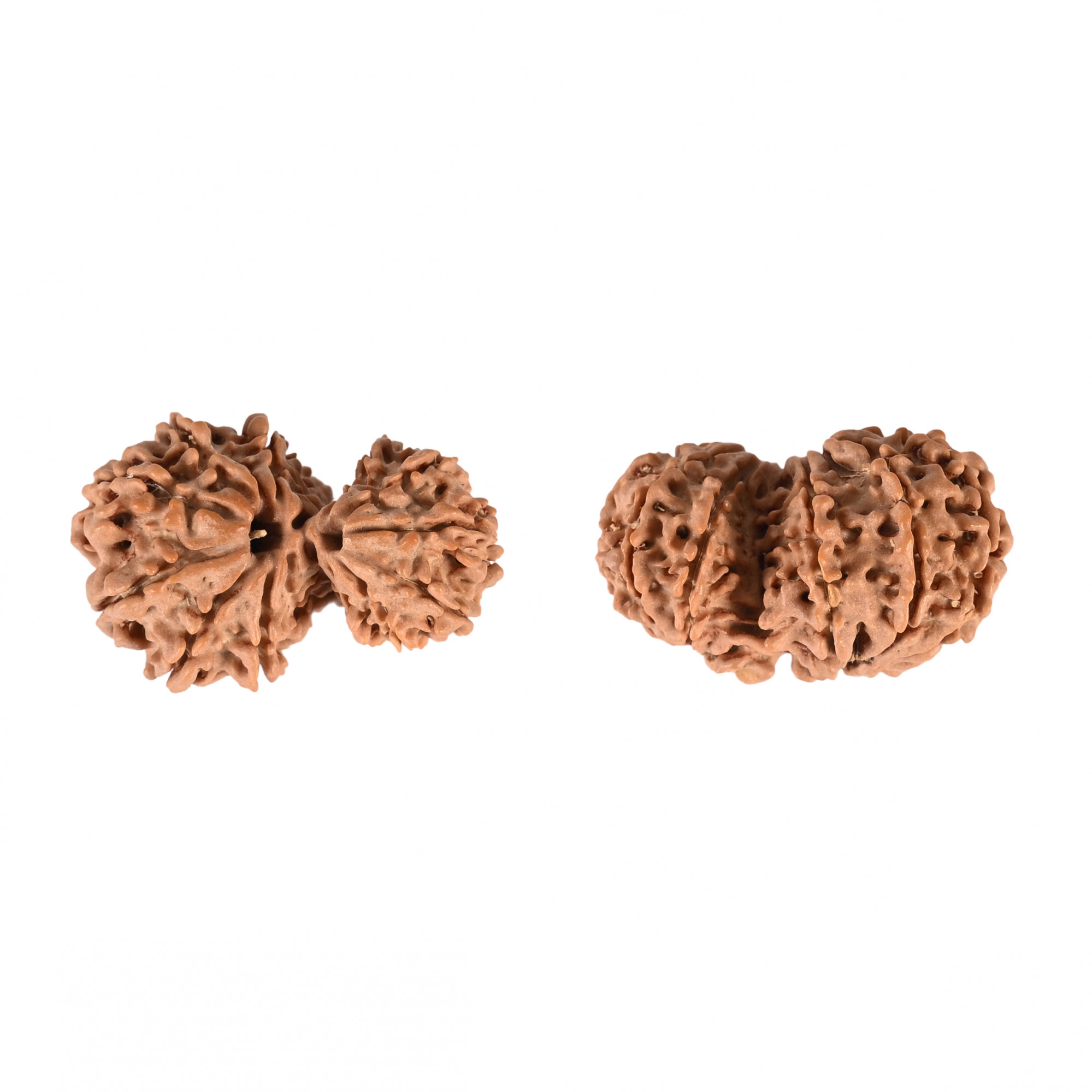 Natural Garbh Gauri Nepali