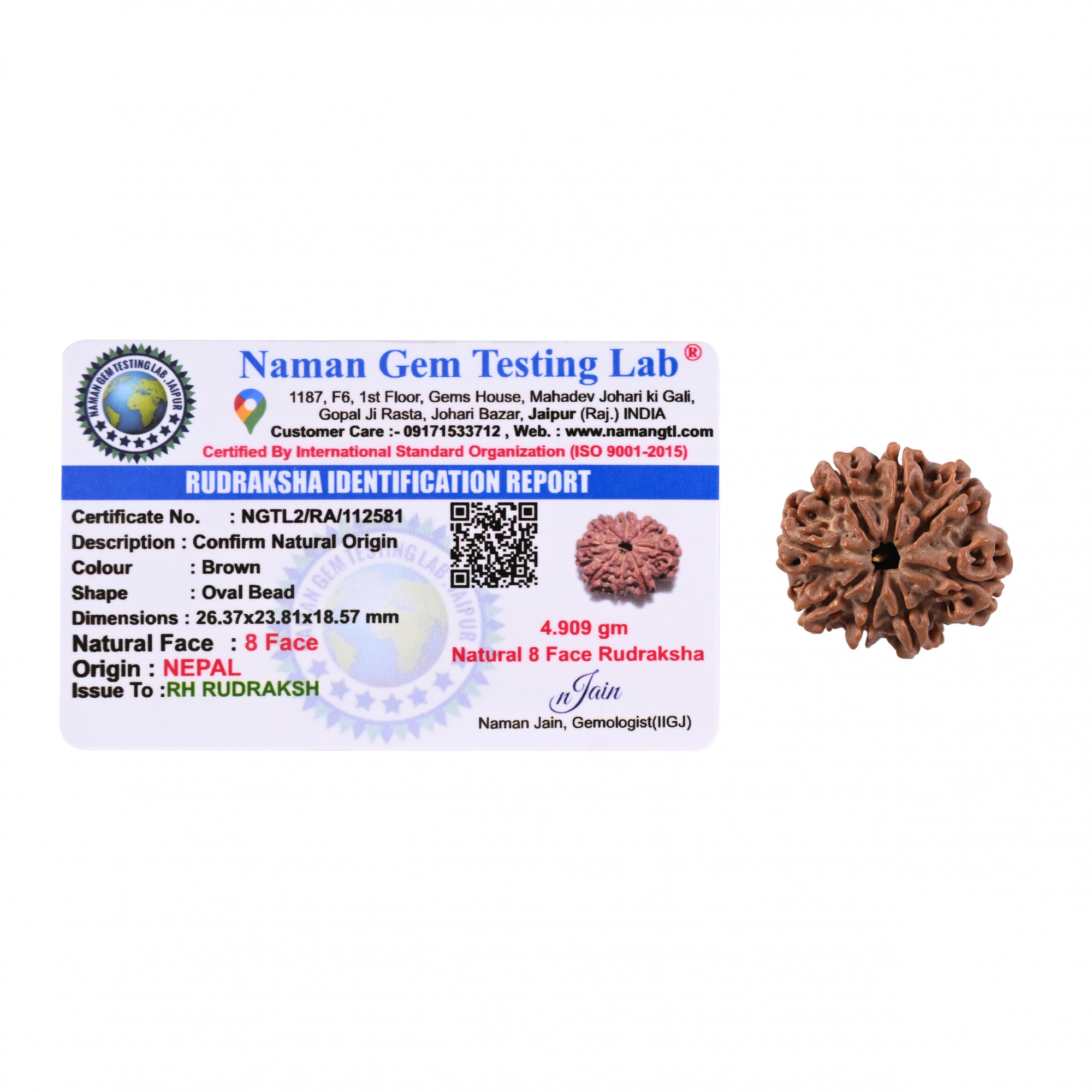 Natural 8 Mukhi Collector Rudraksh Nepali