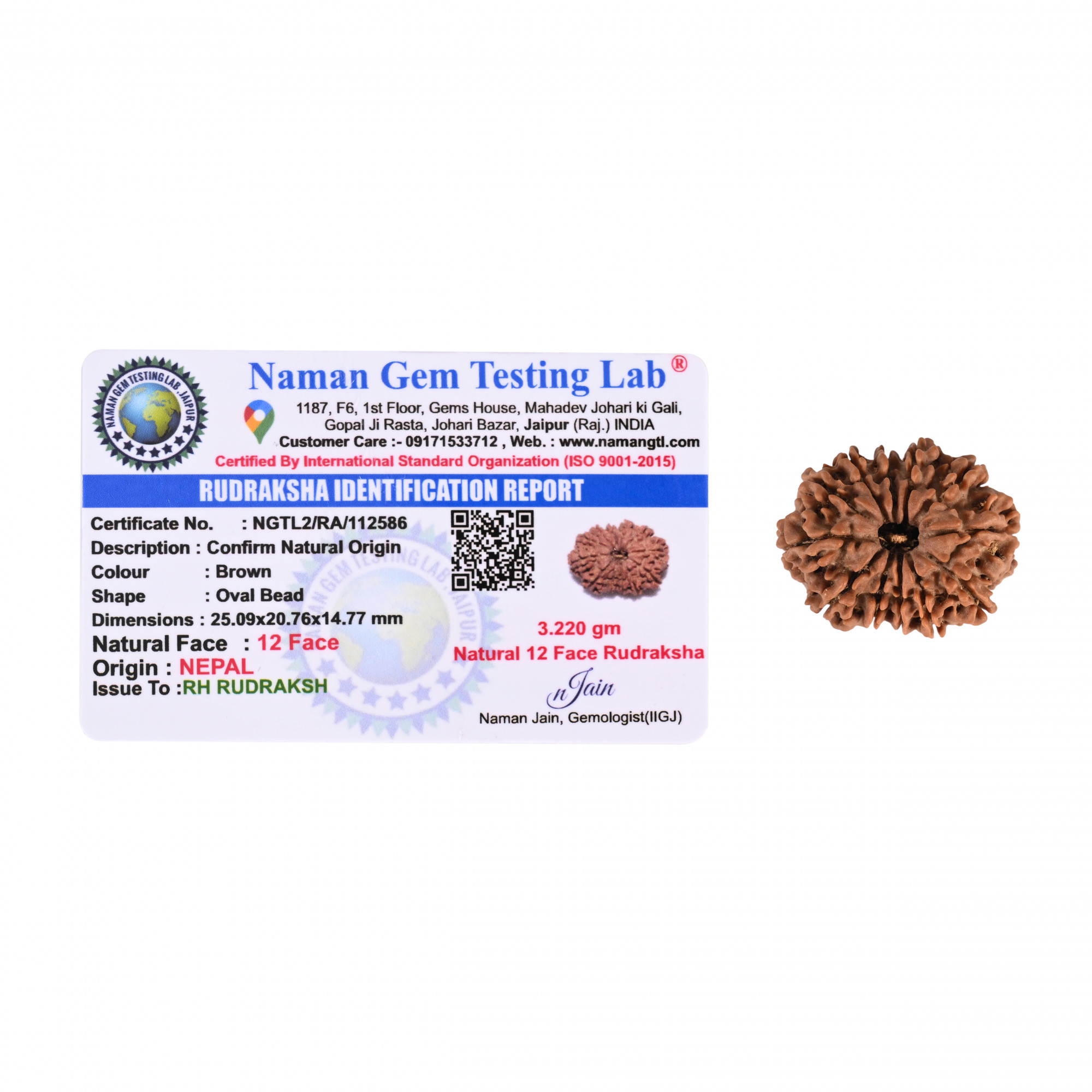 Natural 12 Mukhi Rudraksh Nepali
