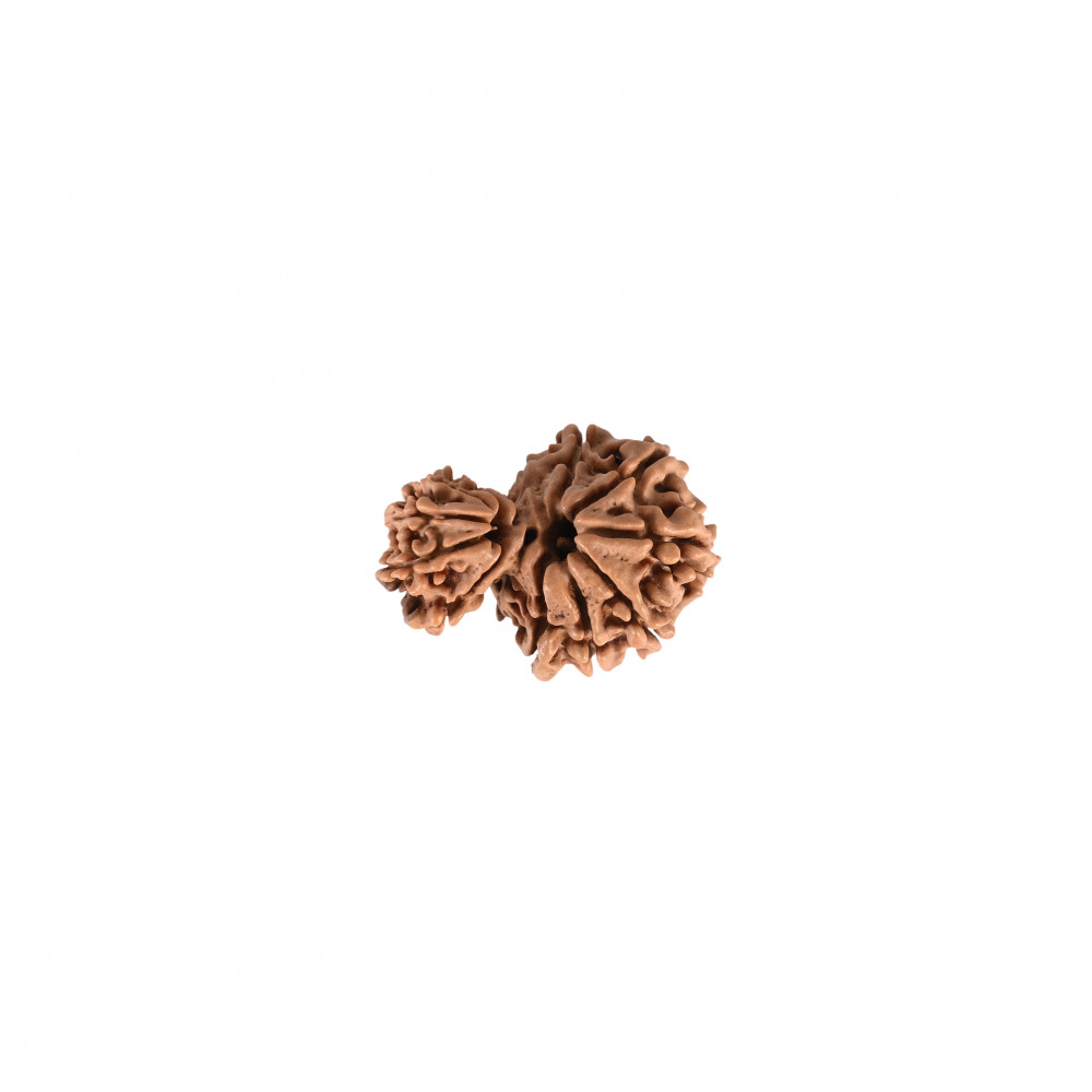 Image of Natural Garbh Gauri (Nepali)