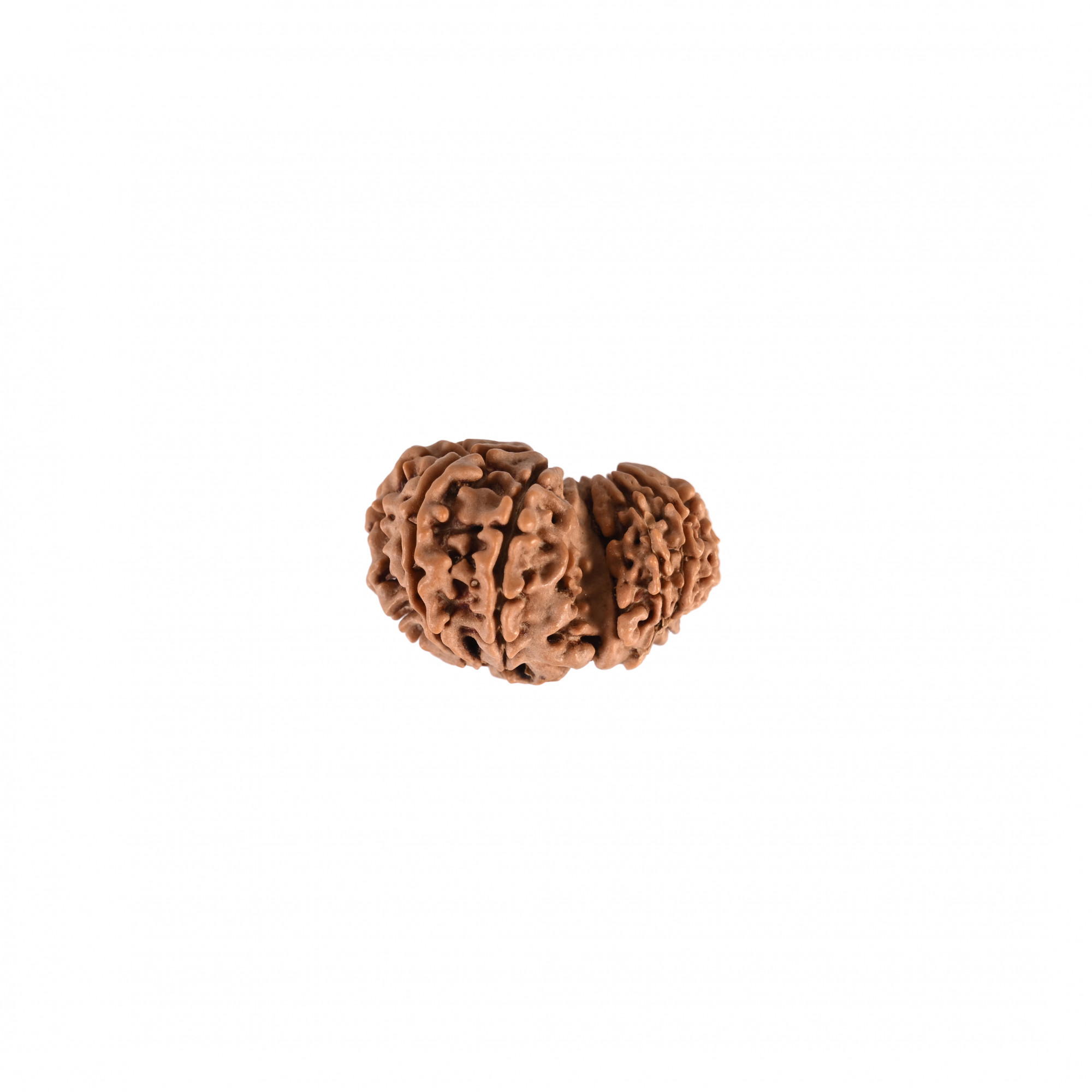 Natural Garbh Gauri Nepali