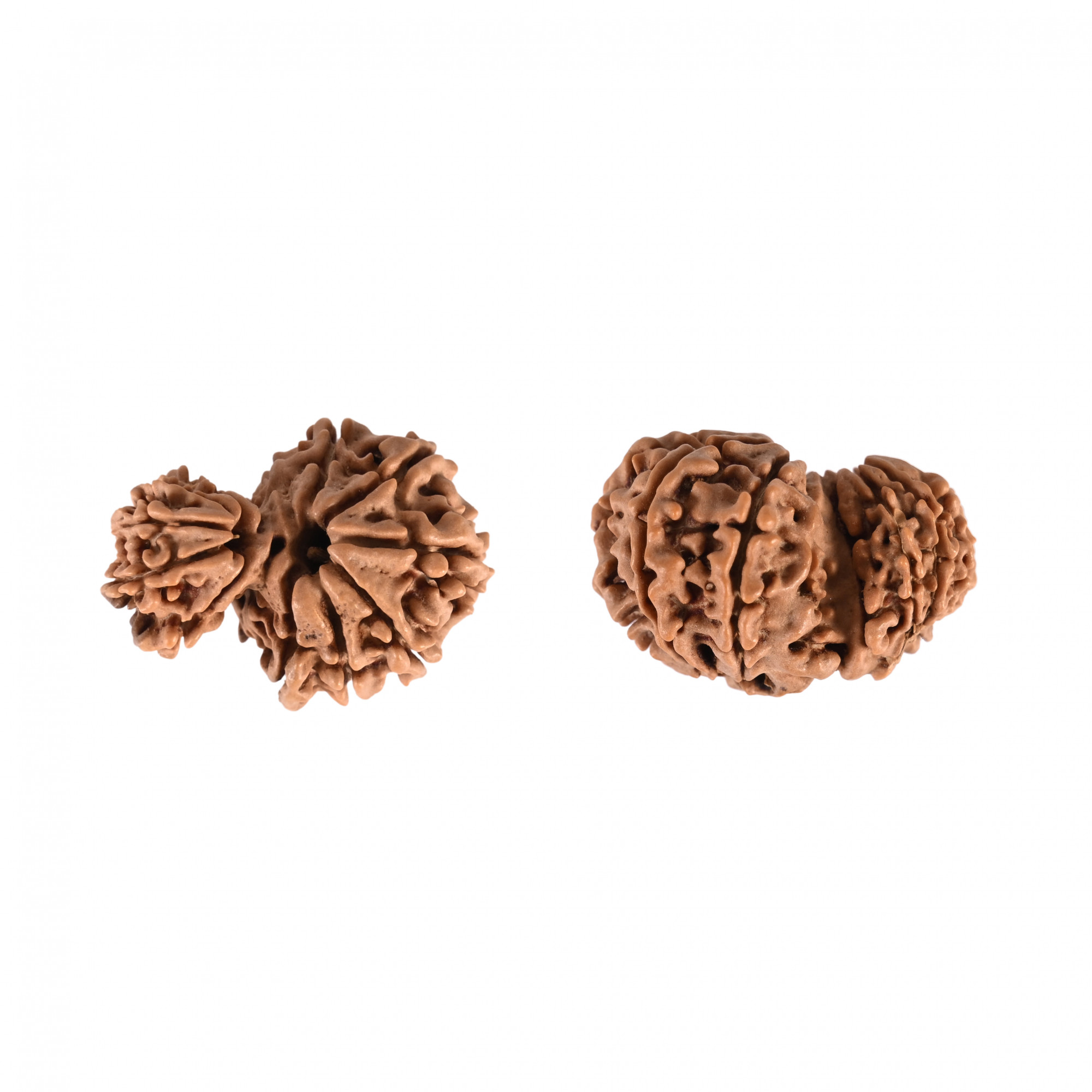 Natural Garbh Gauri Nepali