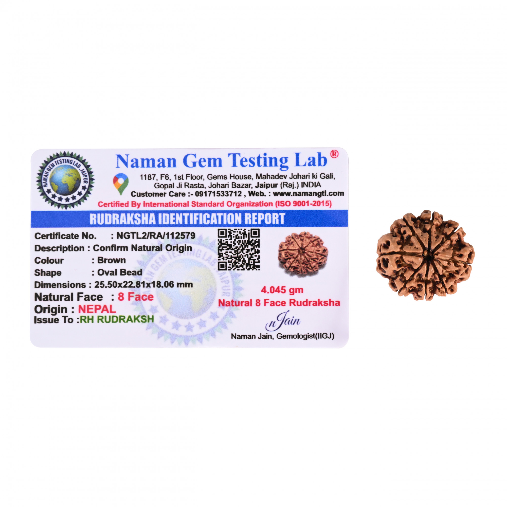 Natural 8 Mukhi Collector Rudraksh Nepali