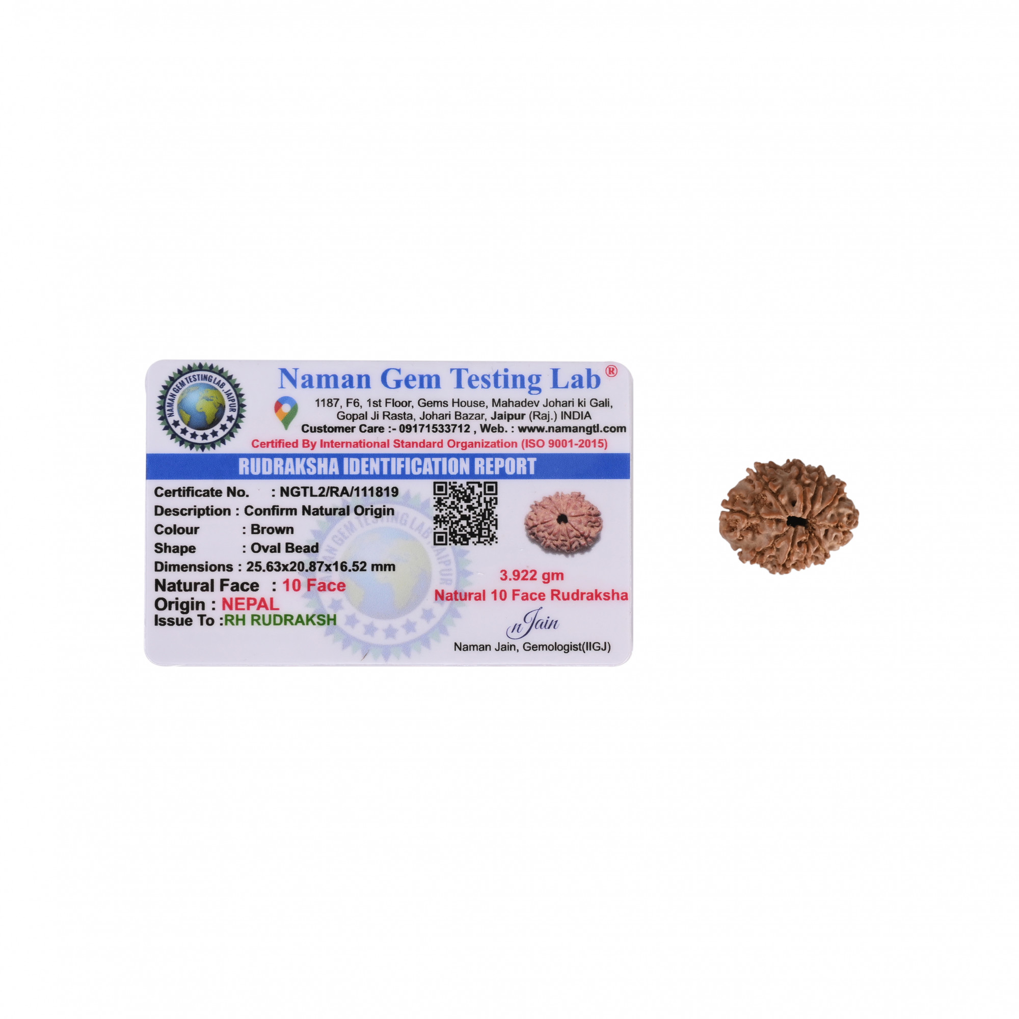 Natural 10 Mukhi Rudraksh Nepali