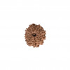 Natural 10 Mukhi Rudraksh(Nepali)