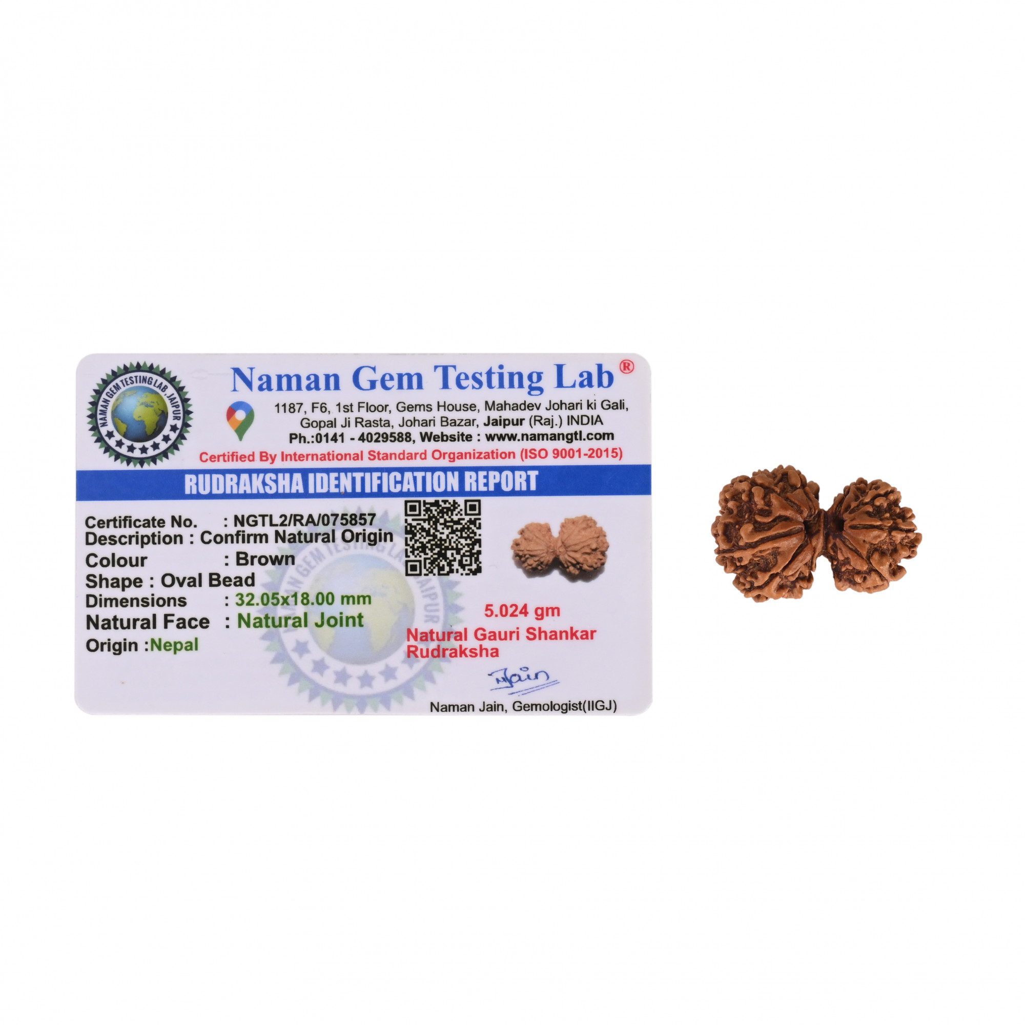 Natural Gauri Shankar Collector Rudraksh Nepali