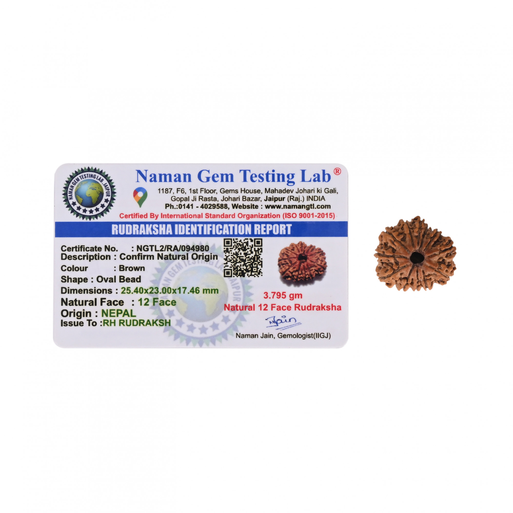 Natural 12 Mukhi Rudraksh Nepali