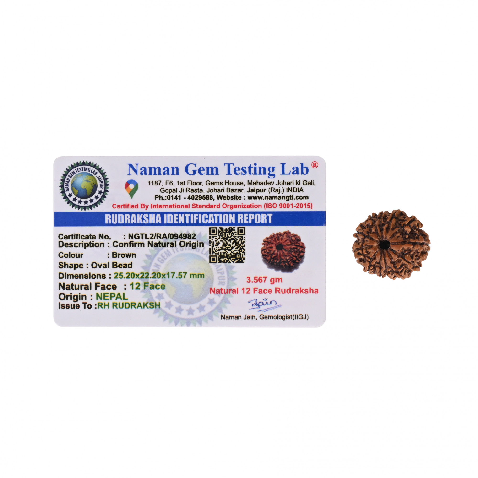 Natural 12 Mukhi Rudraksh Nepali