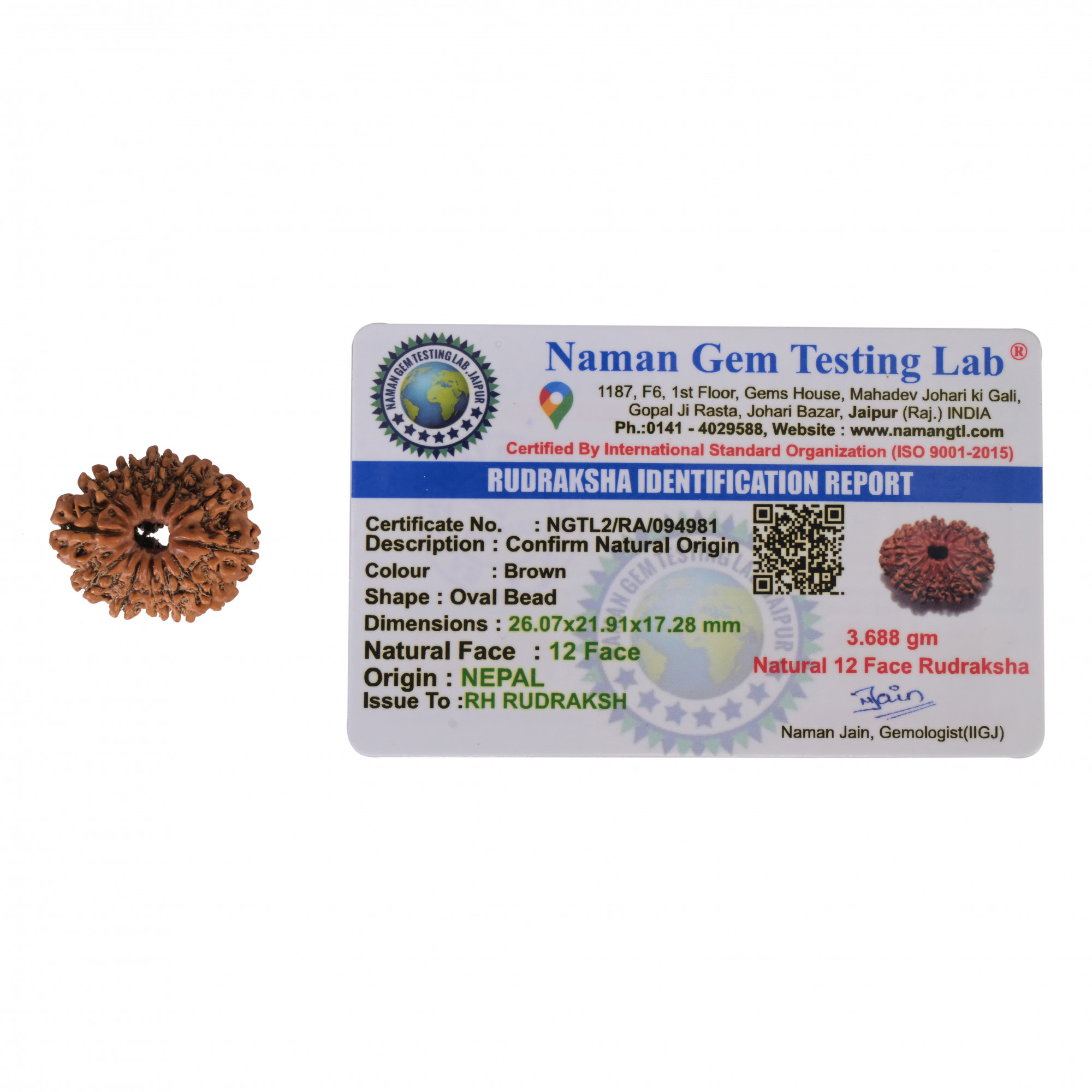 Natural 12 Mukhi Collector RudrakshNepali