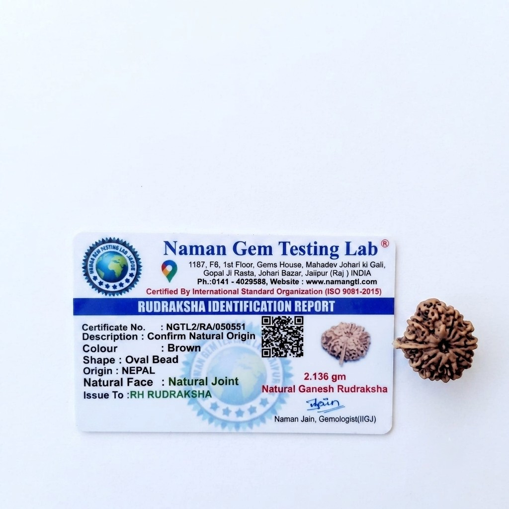 Natural Ganesh Rudraksh 11 Mukhi Nepali