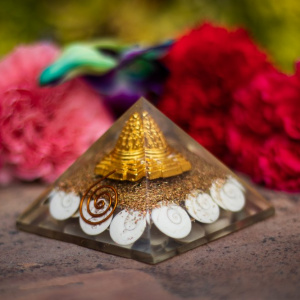 Image of Gomti Chakra with Shri Yantra to Attract Goddess Lakshmi