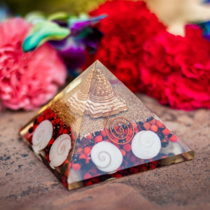 Image of Red Orgone Gomti Chakra with Shri Yantra to Attract Goddess Lakshmi