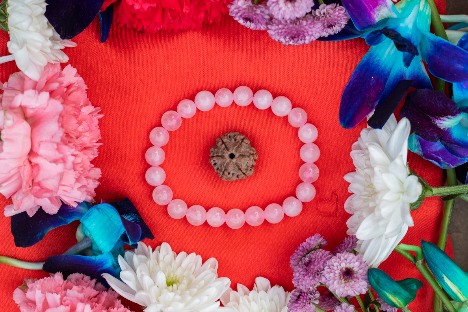 6 Mukhi Nepali Rudraksh Rose Quartz Bracelet For Happy Love Life