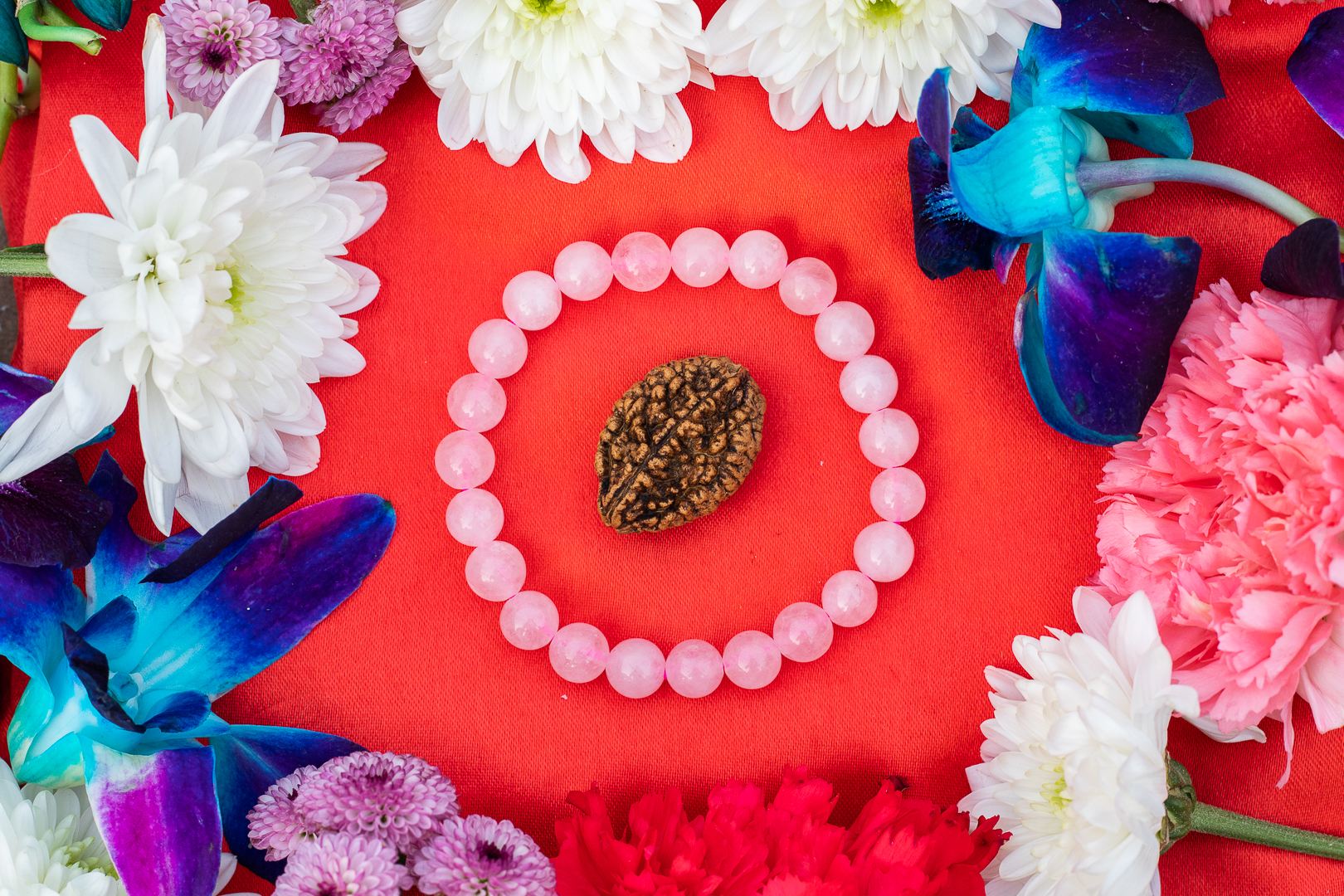 2 Mukhi Rudraksh Rose Quartz Bracelet For Marriage