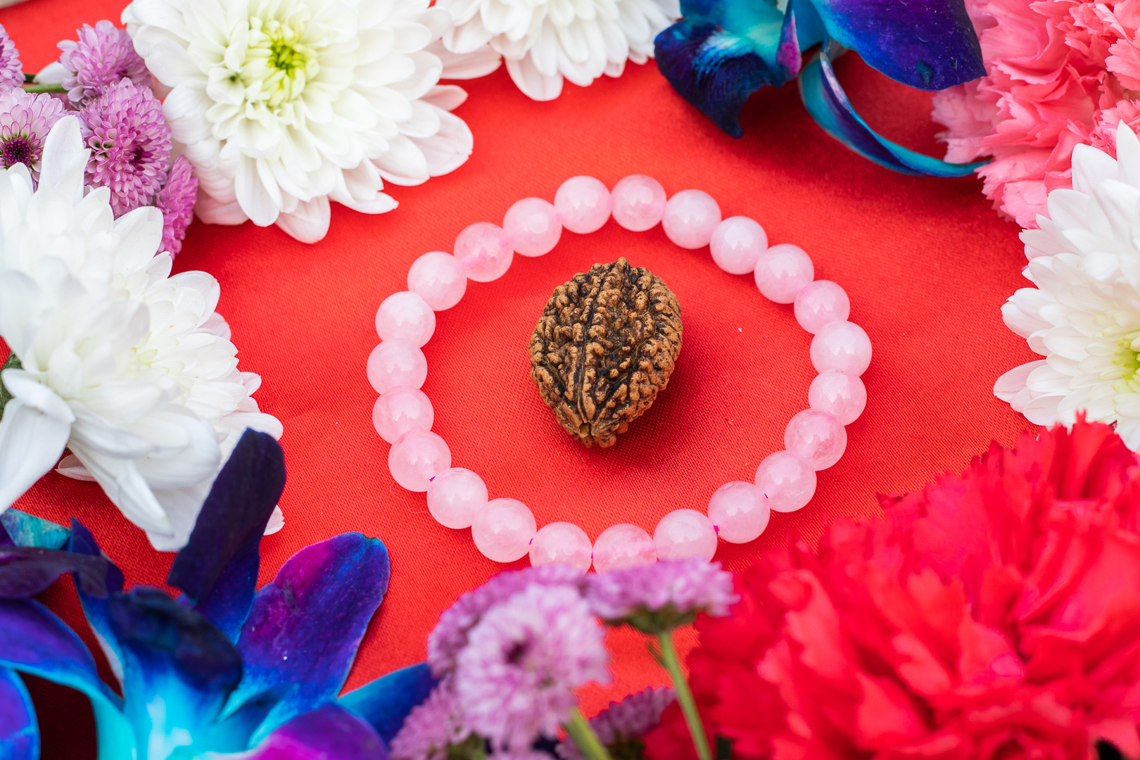 2 Mukhi Rudraksh Rose Quartz Bracelet For Marriage