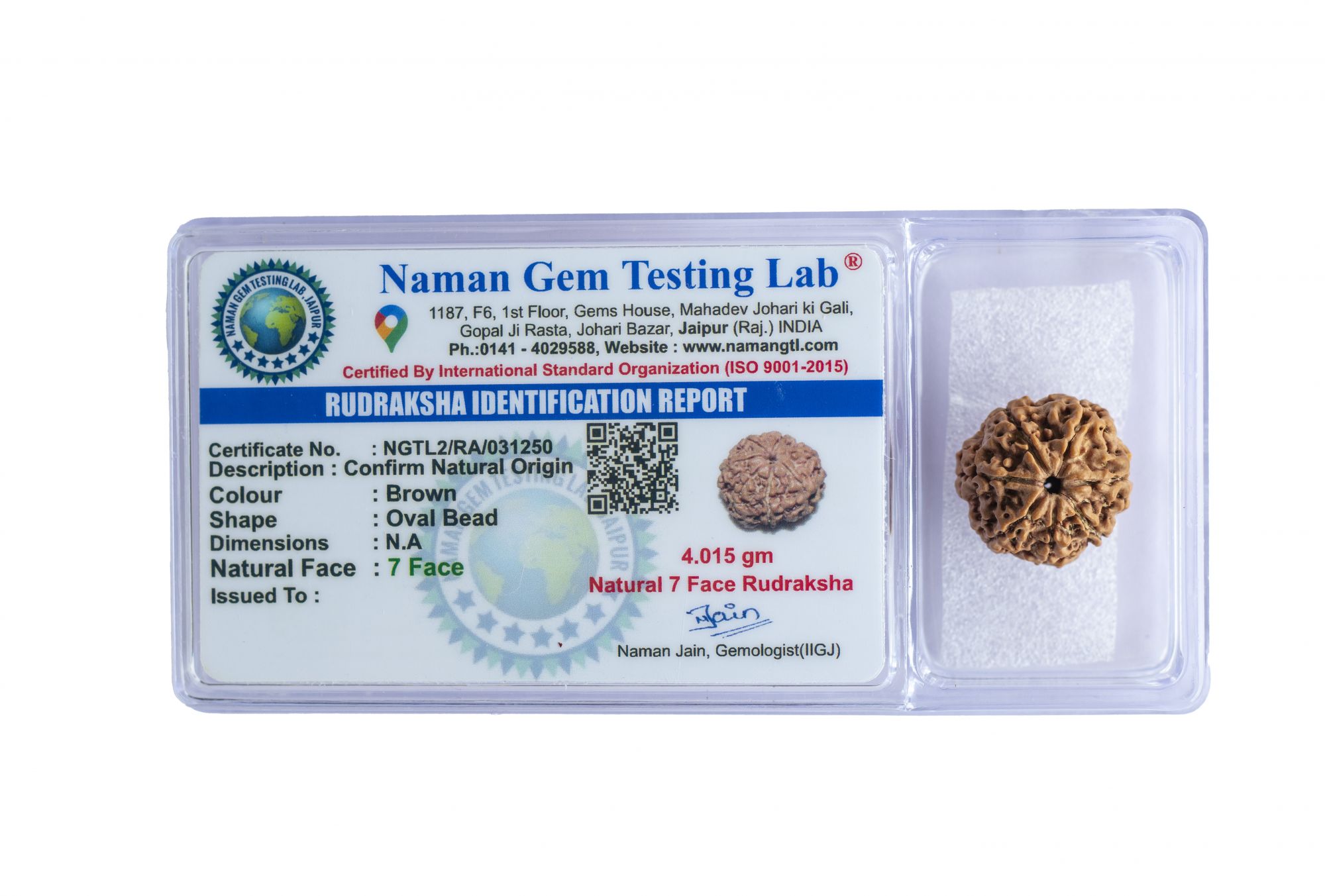 Natural 7 Mukhi Rudraksh Nepali