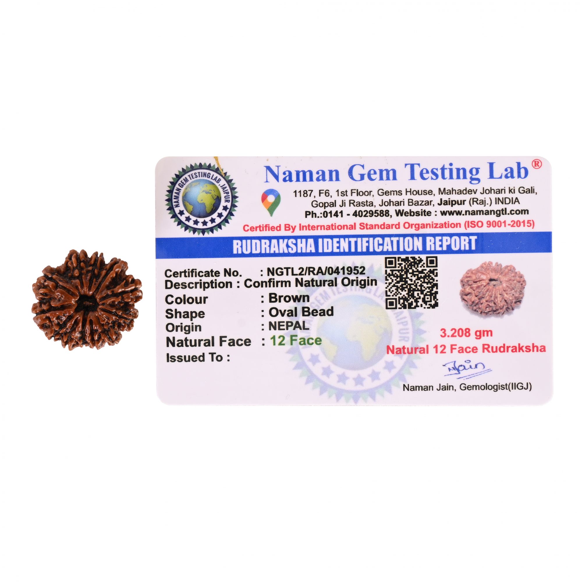 Natural 12 Mukhi Rudraksh Nepali